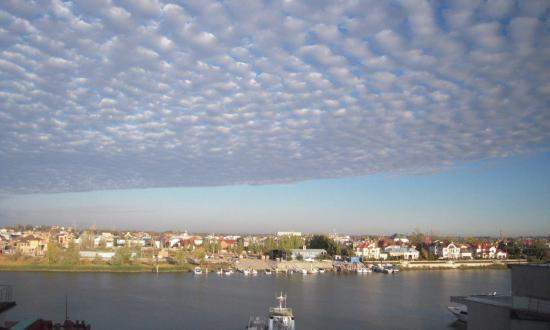 ООО "Вязовское"